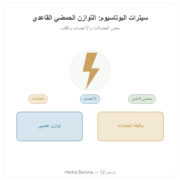 سيترات البوتاسيوم بودرة – Dynveo – 250 غ عرض المنتج Paris Herba Barona