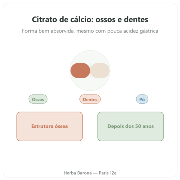 Citrato de Cálcio em Pó Pura – Now Foods – 227g apresentação Paris Herba Barona