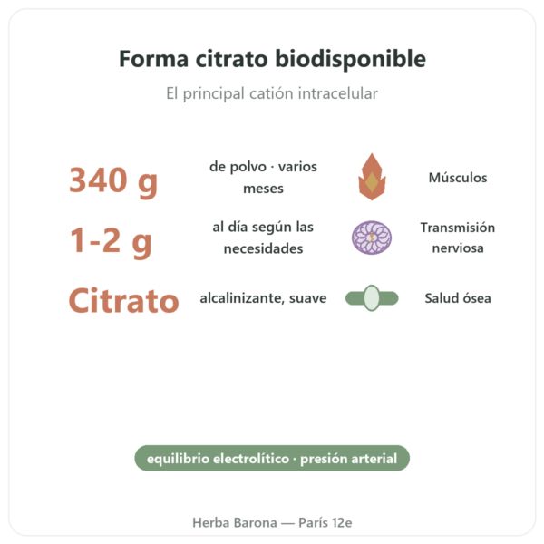 Citrato de Potasio en Polvo – NOW Foods – 340 g beneficios y datos clave Paris Herba Barona
