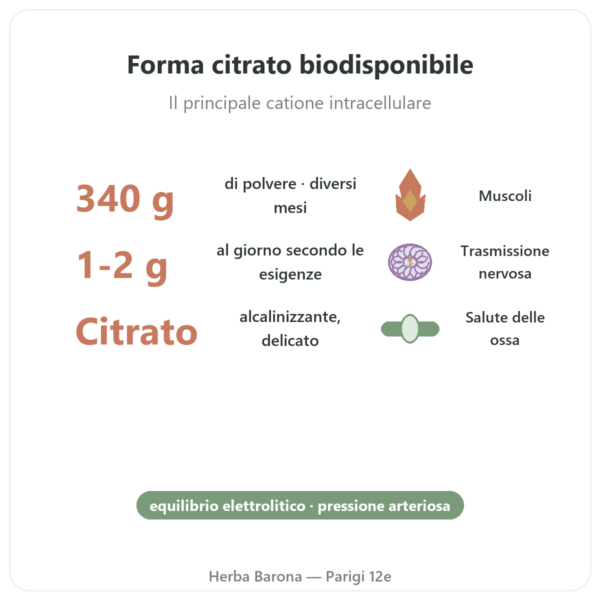 Citrato di Potassio in Polvere – NOW Foods – 340 g benefici e dati chiave Paris Herba Barona
