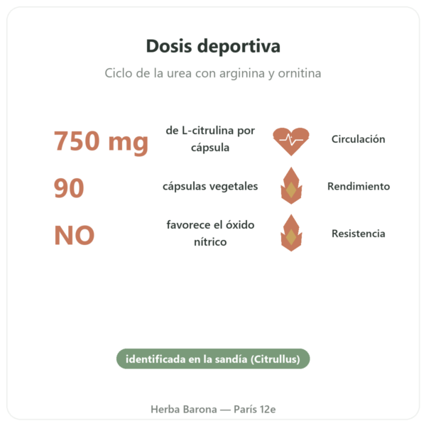 Citrulina 750 mg – Now Foods – 90 Cápsulas beneficios y datos clave Paris Herba Barona