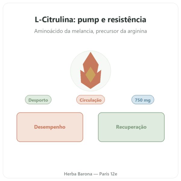 Citrulina 750 mg – Now Foods – 90 cápsulas apresentação Paris Herba Barona