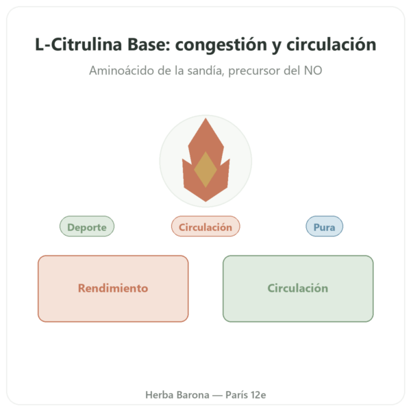 Citrulina L-Citrulina Base – Nutrimuscle – 90 Cápsulas presentación Paris Herba Barona