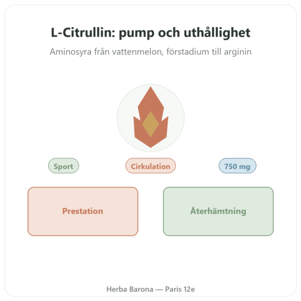 Citrullin 750mg – Now Foods – 90 kapslar presentation Paris Herba Barona