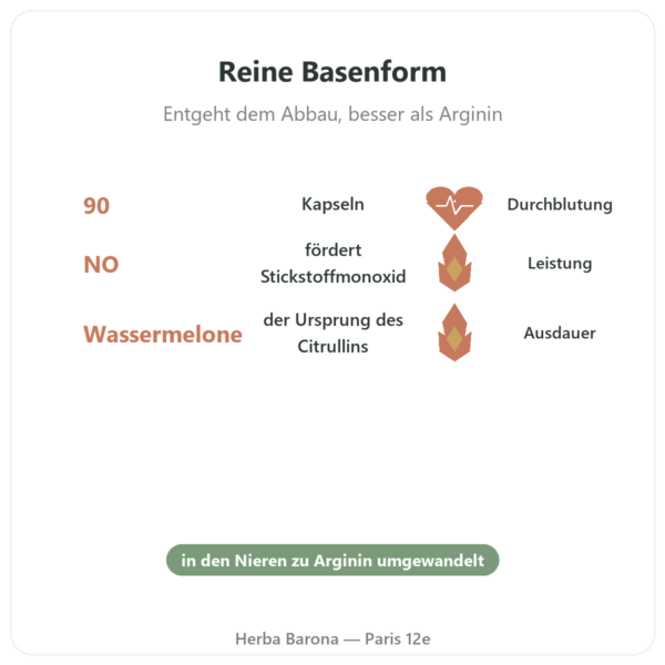 Citrullin L-Citrullin Base – Nutrimuscle – 90 Kapseln Vorteile und Fakten Paris Herba Barona