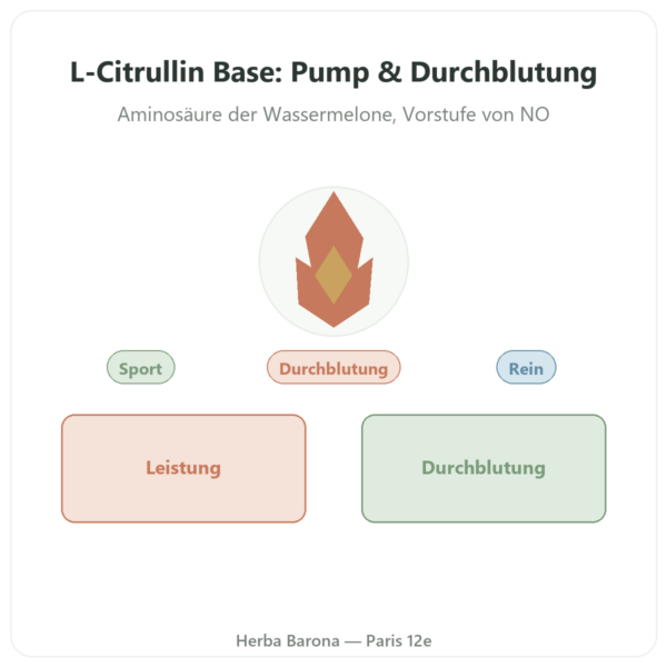 Citrullin L-Citrullin Base – Nutrimuscle – 90 Kapseln Vorstellung Paris Herba Barona