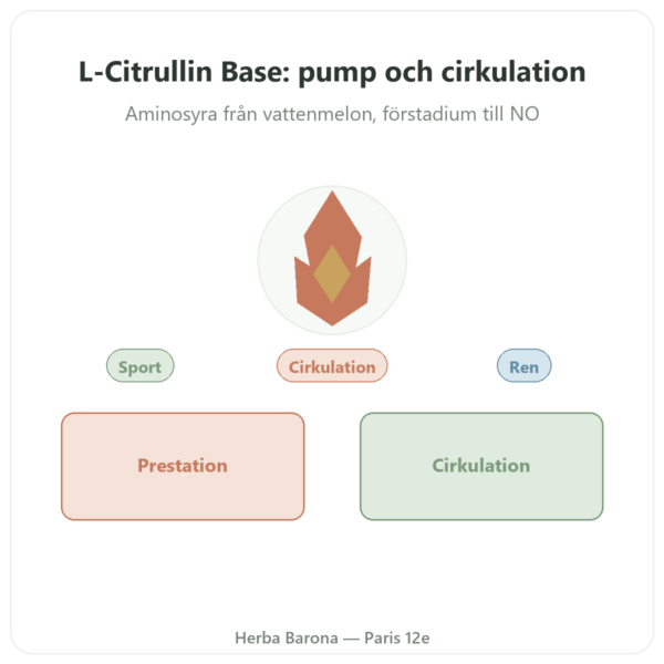 Citrullin L-Citrullin Bas – Nutrimuscle 90 kapslar presentation Paris Herba Barona
