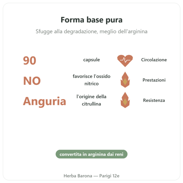 Citrullina L-Citrullina Base – Nutrimuscle 90 capsule benefici e dati chiave Paris Herba Barona