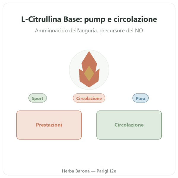 Citrullina L-Citrullina Base – Nutrimuscle 90 capsule presentazione Paris Herba Barona