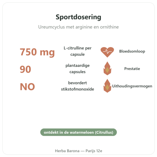Citrulline 750mg – Now Foods – 90 capsules voordelen en kerngegevens Paris Herba Barona