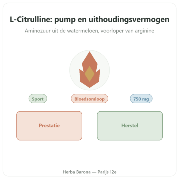 Citrulline 750mg – Now Foods – 90 capsules presentatie Paris Herba Barona