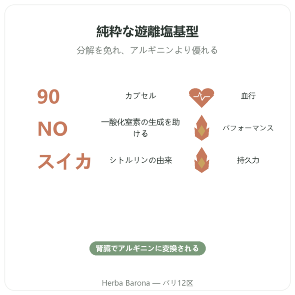 Citrulline L-Citrulline Base – Nutrimuscle 90カプセル benefits and key facts Paris Herba Barona