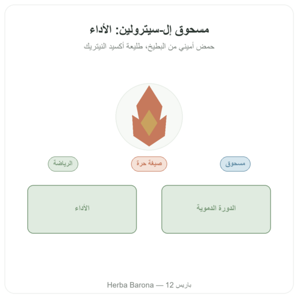 سيترولين بودرة 200 غرام – Doctor's Best عرض المنتج Paris Herba Barona