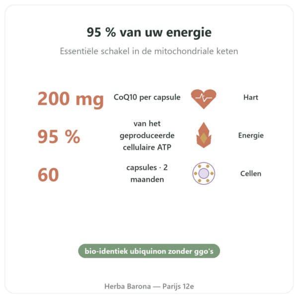 Co-enzym Q10 – SIHO – 200 mg – 60 capsules voordelen en kerngegevens Paris Herba Barona
