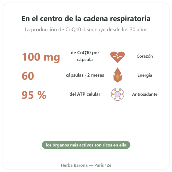 Coenzima Q10 100 mg – Distriform' – 60 Cápsulas beneficios y datos clave Paris Herba Barona