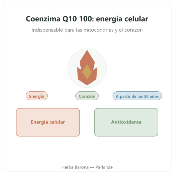 Coenzima Q10 100 mg – Distriform' – 60 Cápsulas presentación Paris Herba Barona