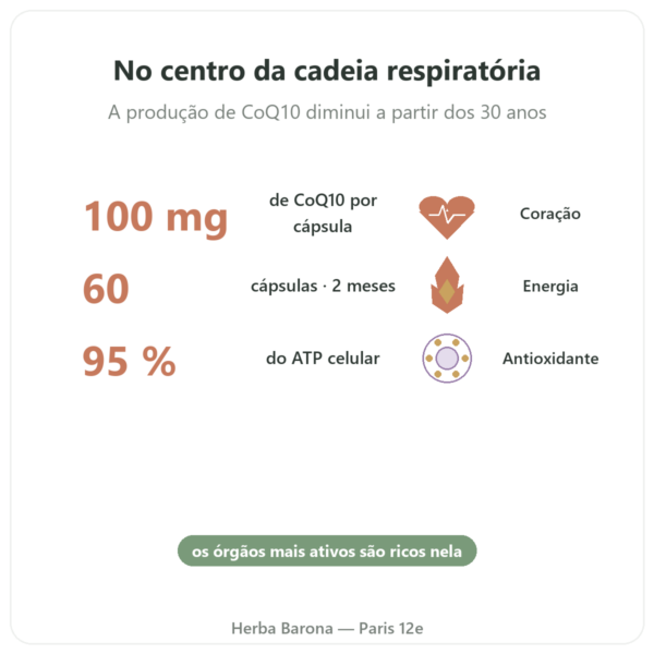Coenzima Q10 100 mg – Distriform' – 60 cápsulas benefícios e dados principais Paris Herba Barona