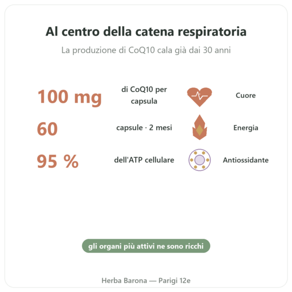 Coenzima Q10 100 mg – Distriform – 60 capsule benefici e dati chiave Paris Herba Barona
