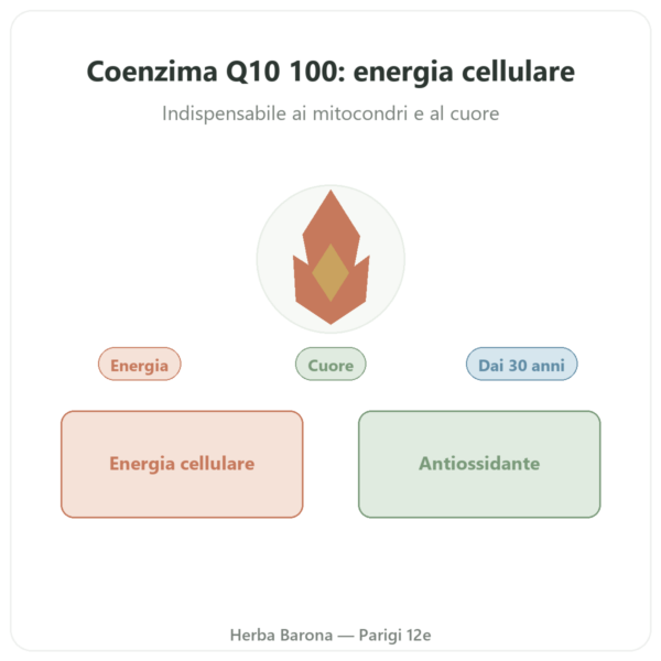 Coenzima Q10 100 mg – Distriform – 60 capsule presentazione Paris Herba Barona