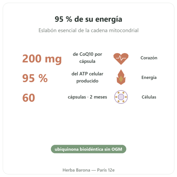 Coenzima Q10 – SIHO – 200 mg – 60 Cápsulas beneficios y datos clave Paris Herba Barona