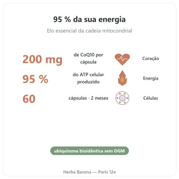 Coenzima Q10 – SIHO – 200 mg – 60 cápsulas benefícios e dados principais Paris Herba Barona