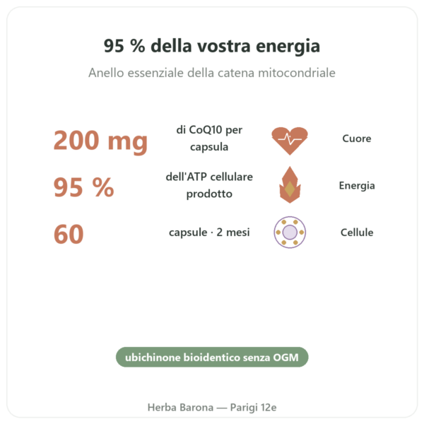 Coenzima Q10 – SIHO – 200 mg – 60 Capsule benefici e dati chiave Paris Herba Barona