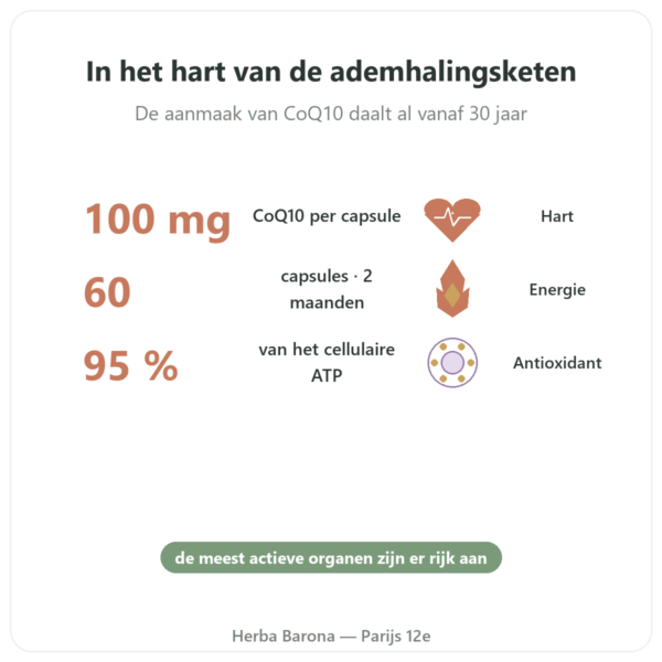 Co-enzym Q10 100 mg – Distriform' – 60 capsules voordelen en kerngegevens Paris Herba Barona