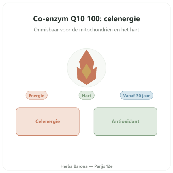 Co-enzym Q10 100 mg – Distriform' – 60 capsules presentatie Paris Herba Barona