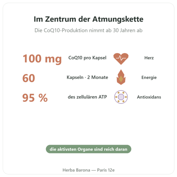 Coenzym Q10 100 mg – Distriform' – 60 Kapseln Vorteile und Fakten Paris Herba Barona