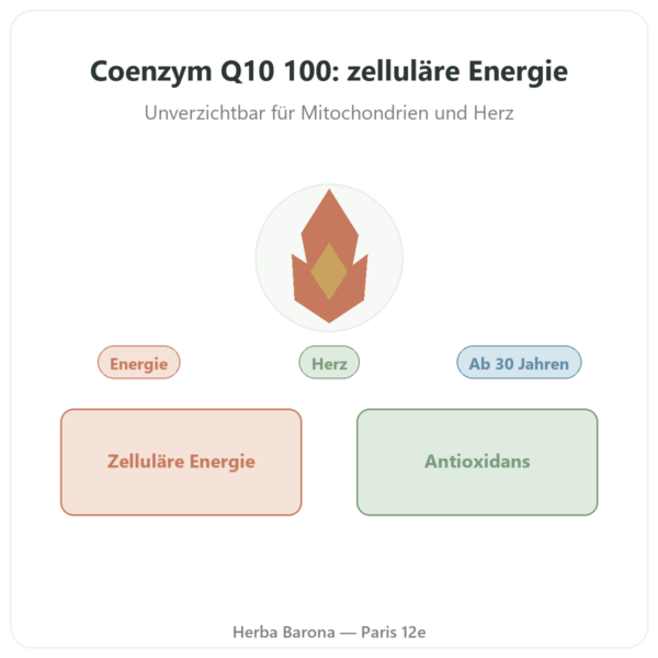 Coenzym Q10 100 mg – Distriform' – 60 Kapseln Vorstellung Paris Herba Barona