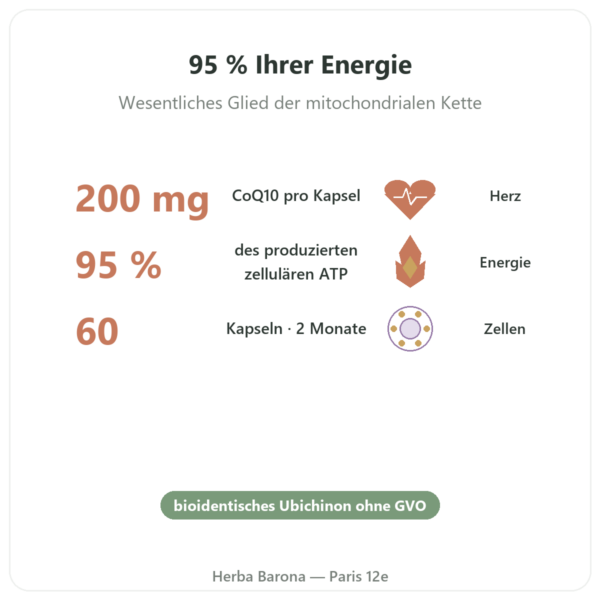 Coenzym Q10 – SIHO – 200 mg – 60 Kapseln Vorteile und Fakten Paris Herba Barona
