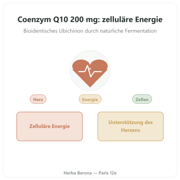 Coenzym Q10 – SIHO – 200 mg – 60 Kapseln Vorstellung Paris Herba Barona