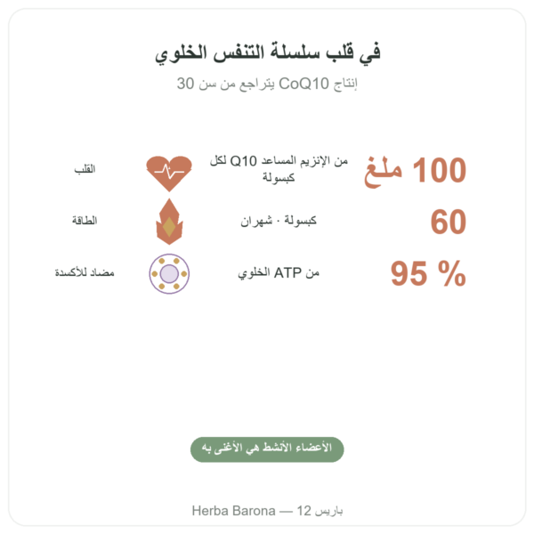 أنزيم Q10 المساعد 100 ملغ – Distriform' – 60 كبسولة الفوائد والمعطيات الرئيسية Paris Herba Barona