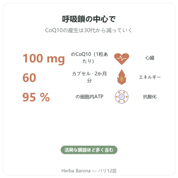 コエンザイムQ10 100 mg – Distriform’ – 60カプセル benefits and key facts Paris Herba Barona