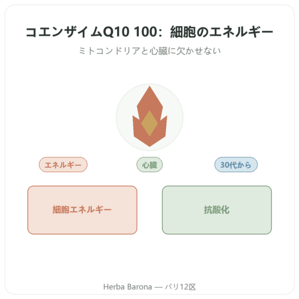 コエンザイムQ10 100 mg – Distriform’ – 60カプセル presentation Paris Herba Barona