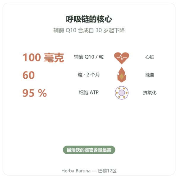 辅酶 Q10 100 mg – Distriform' – 60 粒胶囊 功效与数据 Paris Herba Barona