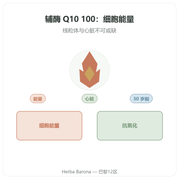 辅酶 Q10 100 mg – Distriform' – 60 粒胶囊 产品展示 Paris Herba Barona