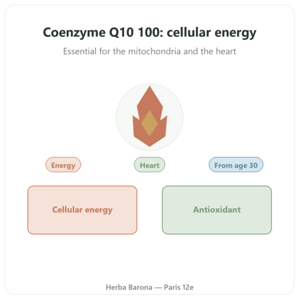 Coenzyme Q10 100mg - Distriform - 60 capsules presentation Paris Herba Barona