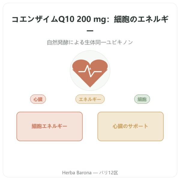 コエンザイムQ10 – SIHO – 200 mg – 60カプセル presentation Paris Herba Barona
