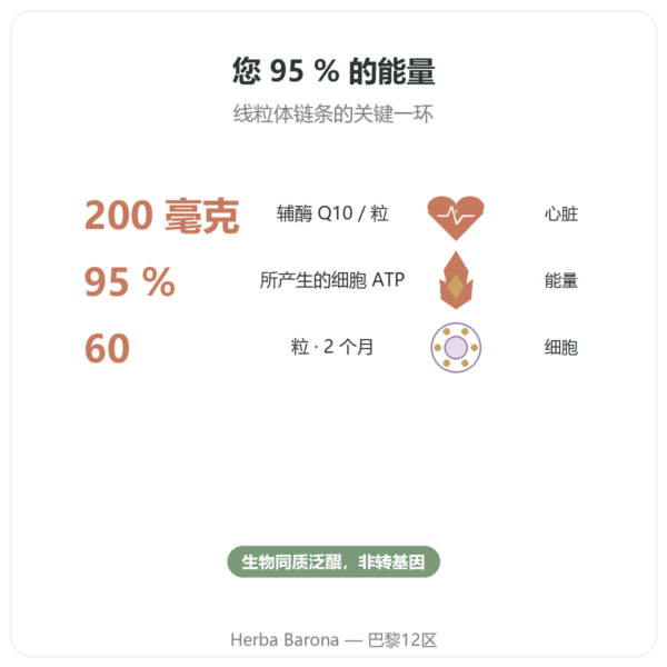 SIHO 辅酶Q10 – 200毫克 – 60粒 功效与数据 Paris Herba Barona