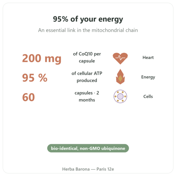 Coenzyme Q10 – SIHO – 200mg – 60 capsules benefits and key facts Paris Herba Barona