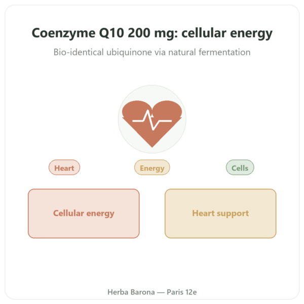 Coenzyme Q10 – SIHO – 200mg – 60 capsules presentation Paris Herba Barona