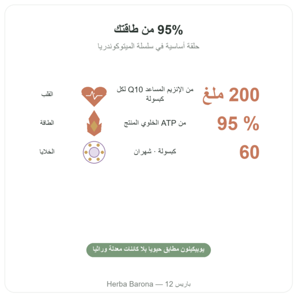 أنزيم Q10 المساعد – SIHO – 200 ملغ – 60 كبسولة الفوائد والمعطيات الرئيسية Paris Herba Barona
