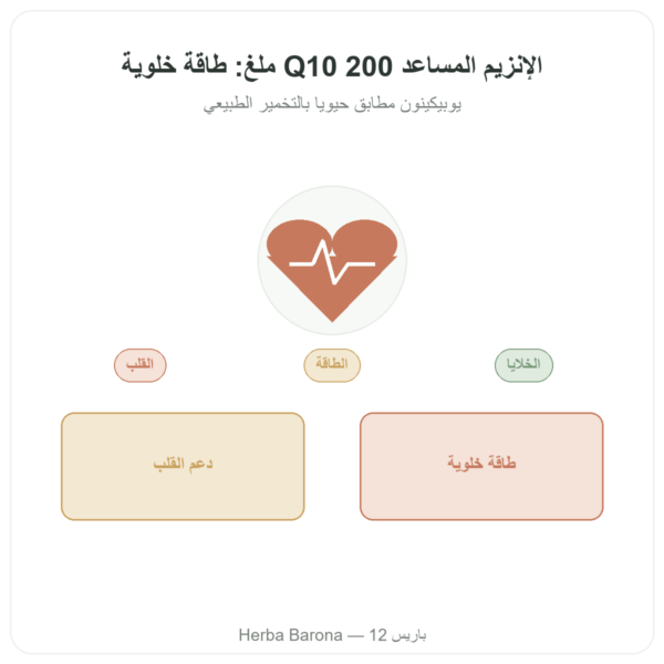 أنزيم Q10 المساعد – SIHO – 200 ملغ – 60 كبسولة عرض المنتج Paris Herba Barona