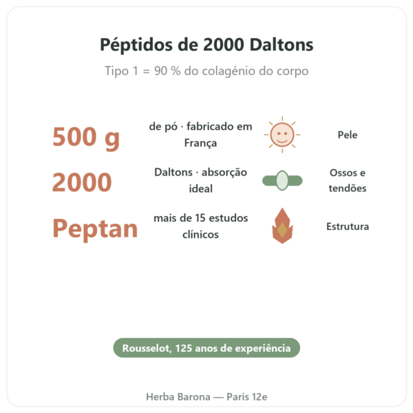 Colagénio Péptido Tipo 1 Bovino 500g – Nutrimuscle benefícios e dados principais Paris Herba Barona