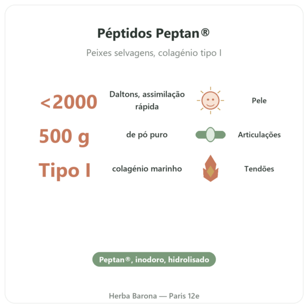 Colágeno marinho hidrolisado em pó – péptidos – Dynveo benefícios e dados principais Paris Herba Barona