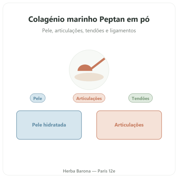 Colágeno marinho hidrolisado em pó – péptidos – Dynveo apresentação Paris Herba Barona