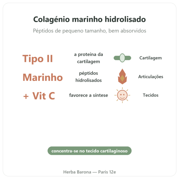 Colágeno Marinho de Tipo II – Vital Osmose – Cápsulas benefícios e dados principais Paris Herba Barona