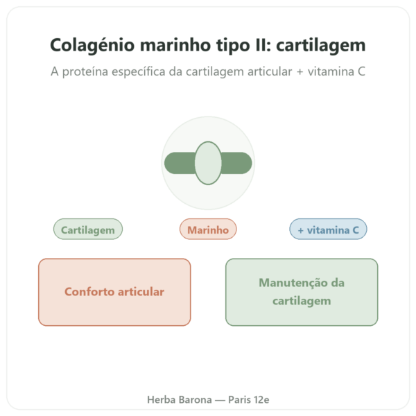 Colágeno Marinho de Tipo II – Vital Osmose – Cápsulas apresentação Paris Herba Barona