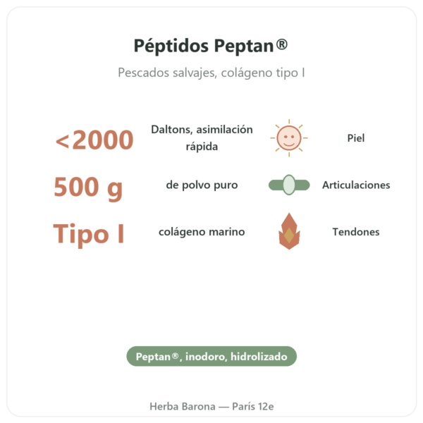 Colágeno marino hidrolizado en polvo – péptidos Peptan® – Dynveo beneficios y datos clave Paris Herba Barona